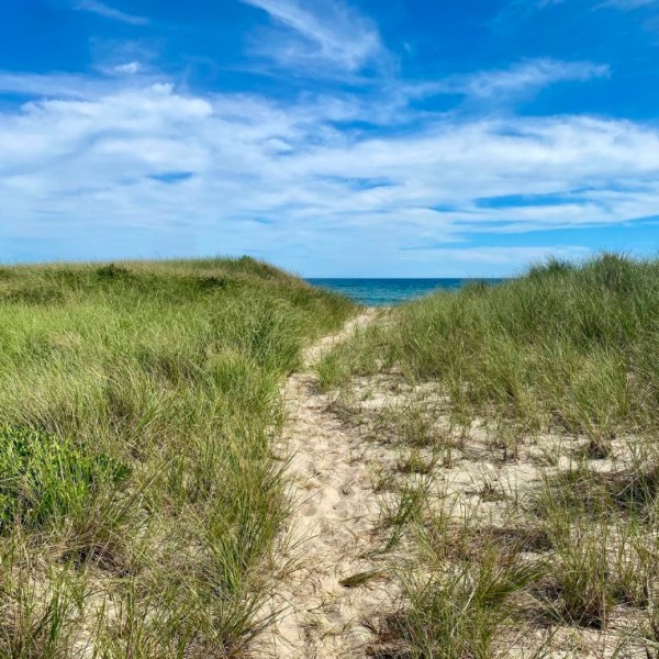 22 Sheep Pond Road Nantucket, MA 02554 - Photo 6 of 27