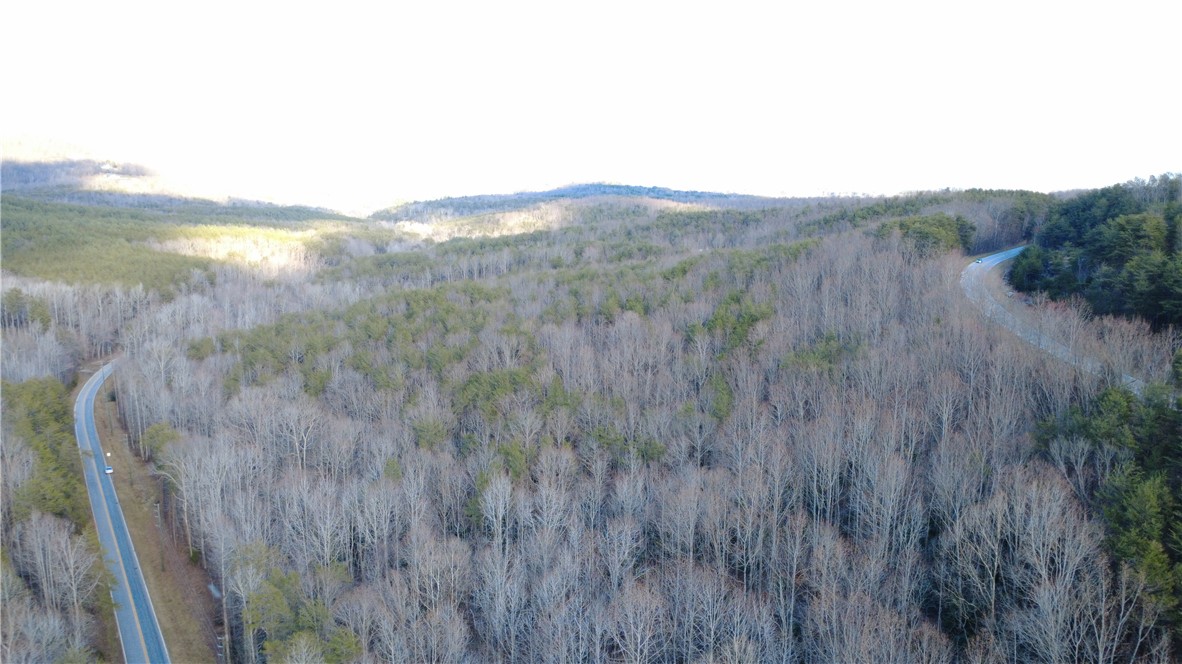 2131 Oak Grove Road Landrum, SC 29356 - Photo 17 of 26