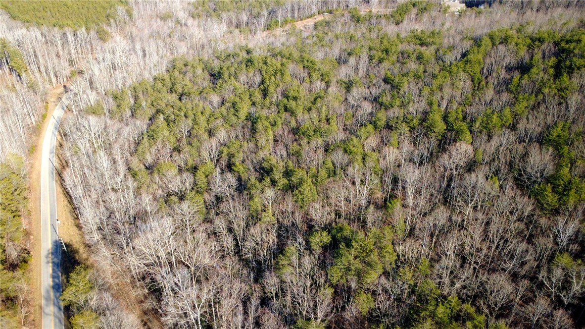 2131 Oak Grove Road Landrum, SC 29356 - Photo 19 of 26