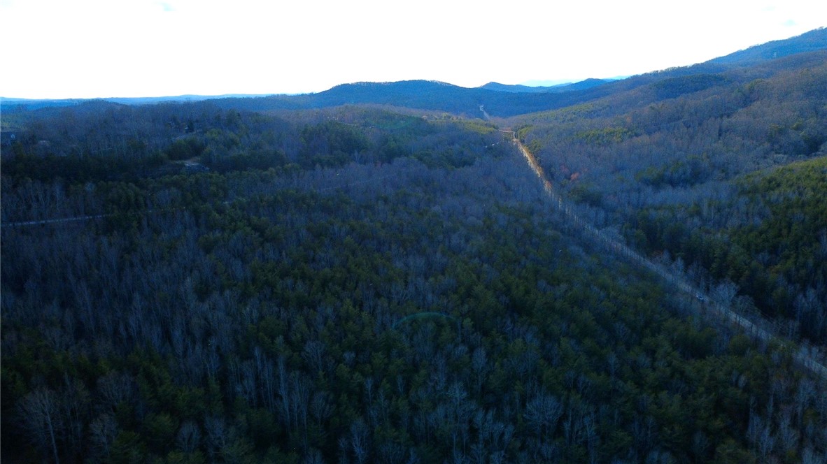 2131 Oak Grove Road Landrum, SC 29356 - Photo 20 of 26