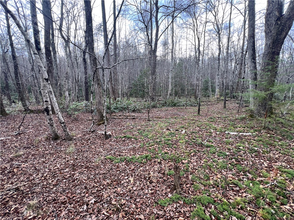 2131 Oak Grove Road Landrum, SC 29356 - Photo 22 of 26