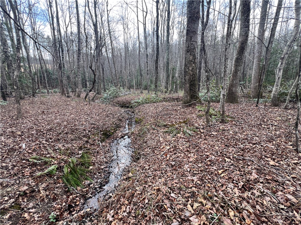 2131 Oak Grove Road Landrum, SC 29356 - Photo 23 of 26