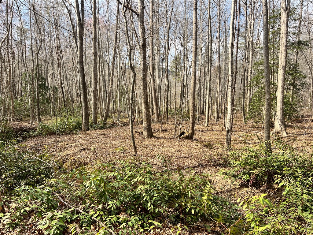 2131 Oak Grove Road Landrum, SC 29356 - Photo 26 of 26