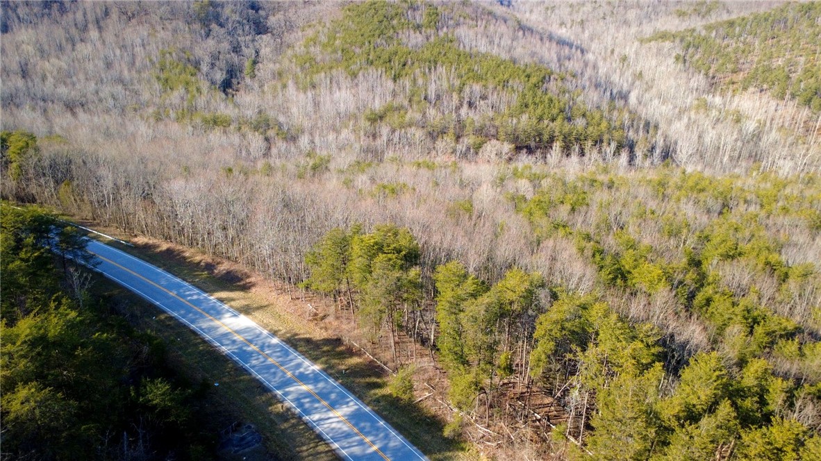2131 Oak Grove Road Landrum, SC 29356 - Photo 3 of 26