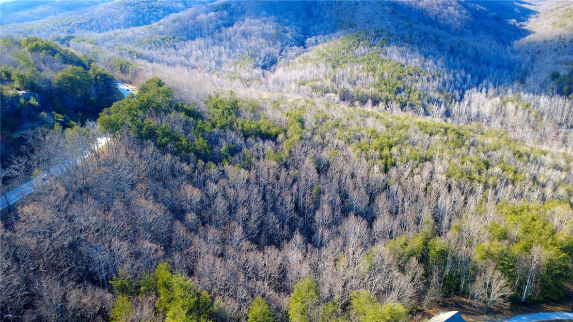 2131 Oak Grove Road Landrum, SC 29356 - Photo 8 of 26