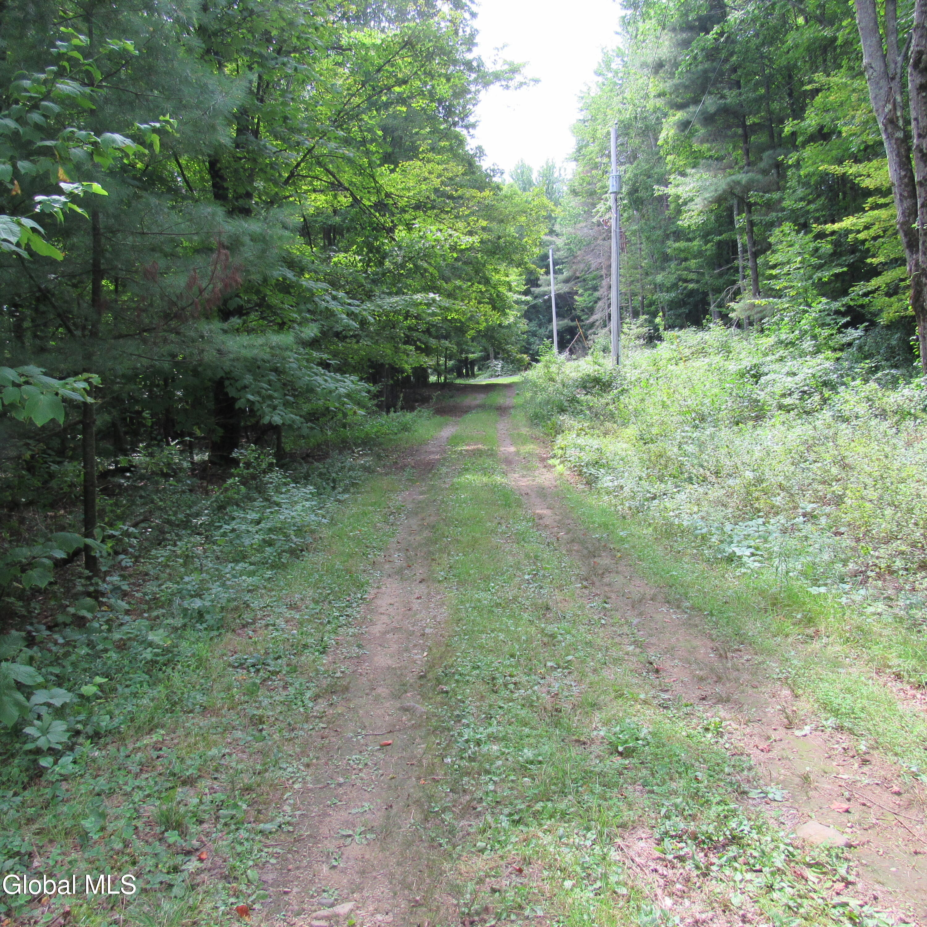 L11 Barker Road Northville, NY 12134 - Photo 3 of 10 IMG_1196