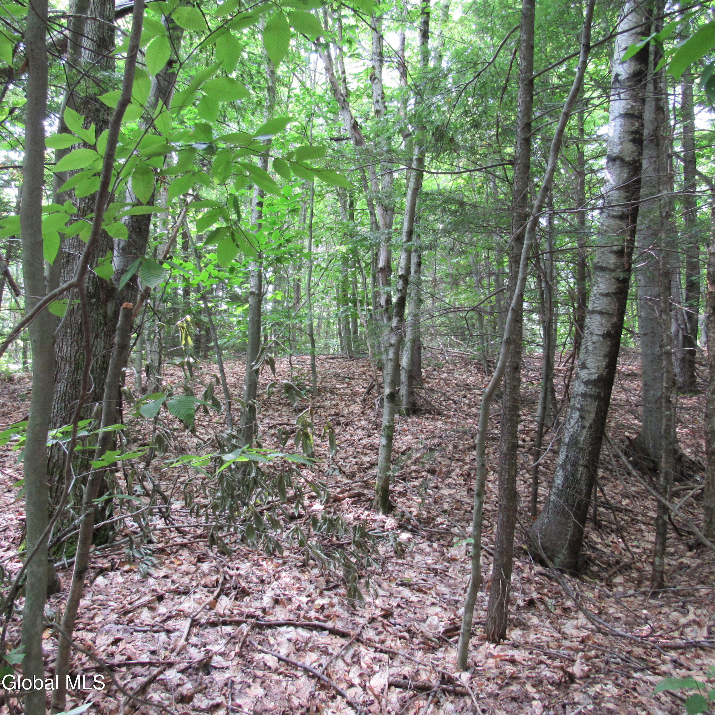 L11 Barker Road Northville, NY 12134 - Photo 10 of 10 IMG_1204