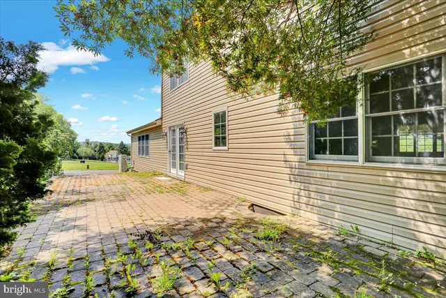a view of a backyard with a large tree