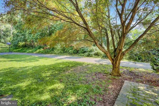 a view of outdoor space with trees all around