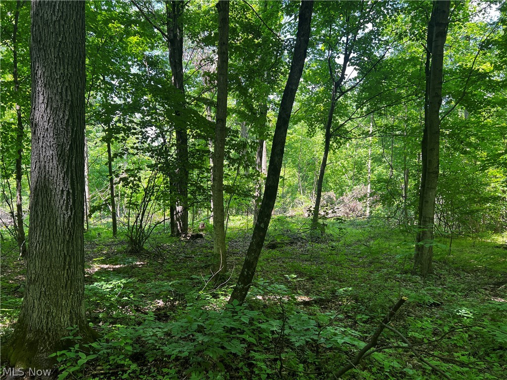 1089 Township Road Perrysville, OH 44864 - Photo 13 of 23 Gallery Image 13