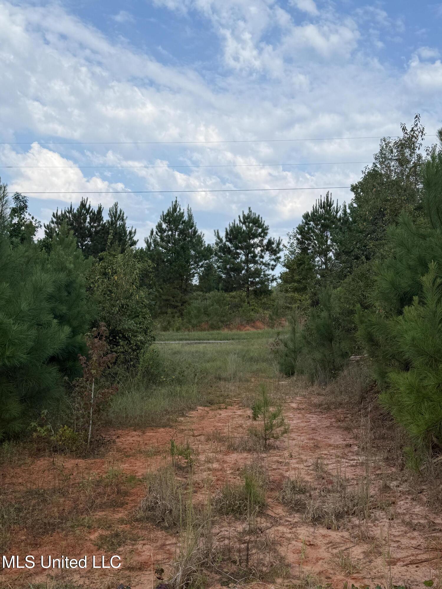 Blizzard Road Meridian, MS 39305 - Photo 5 of 10 Photo Sep 16 2025, 8 47 51 AM