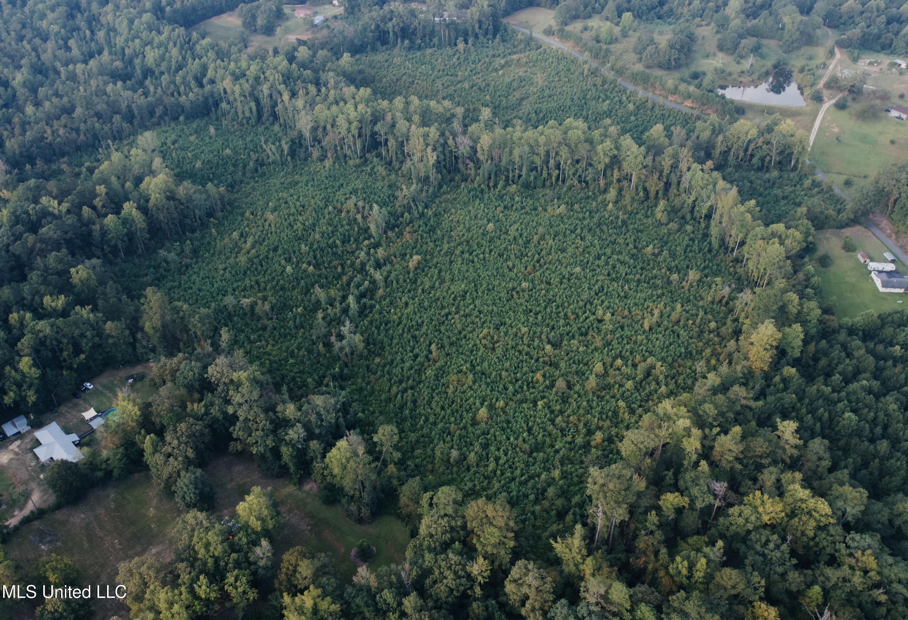 Blizzard Road Meridian, MS 39305 - Photo 6 of 10 Photo Sep 16 2025, 8 33 44 AM