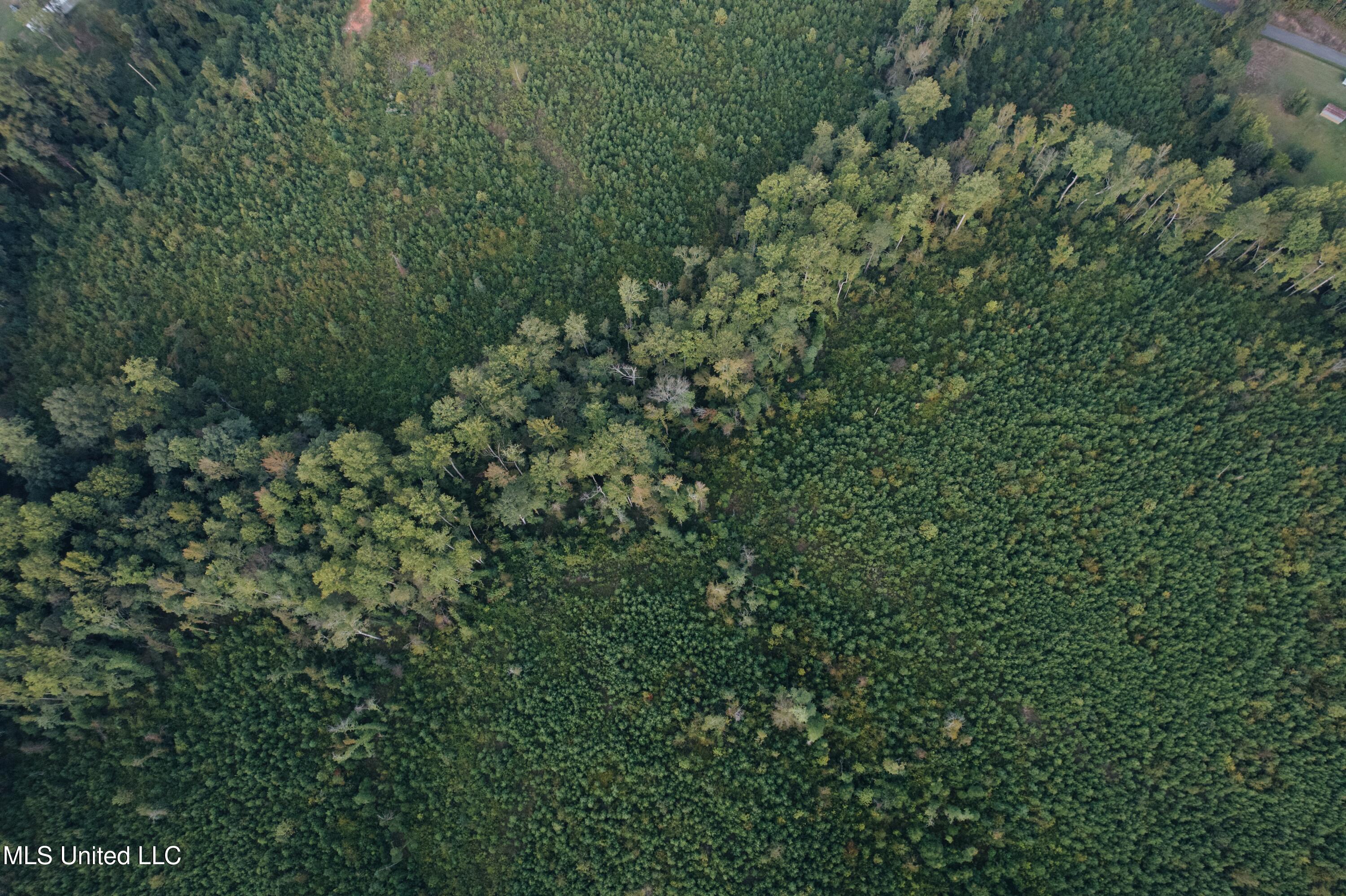 Blizzard Road Meridian, MS 39305 - Photo 7 of 10 Photo Sep 16 2025, 8 35 09 AM