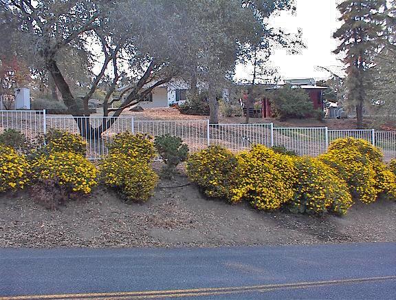 45963 Longview Road Squaw Valley, CA 93675 - Photo 1 of 41 Gallery Image 1