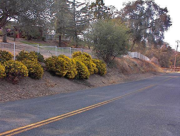 45963 Longview Road Squaw Valley, CA 93675 - Photo 3 of 41 Gallery Image 3