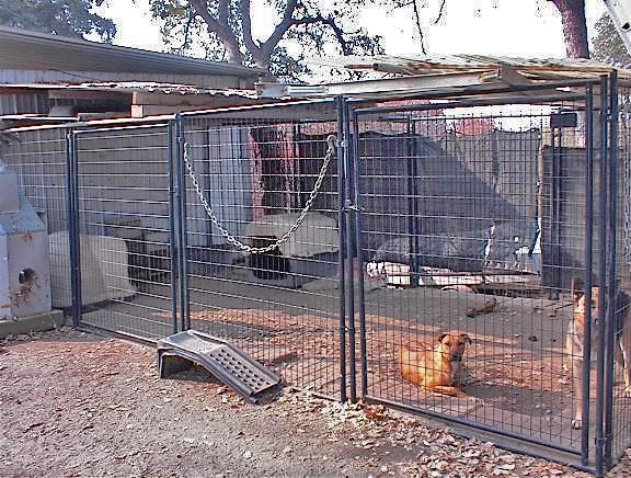 45963 Longview Road Squaw Valley, CA 93675 - Photo 30 of 41 Gallery Image 30