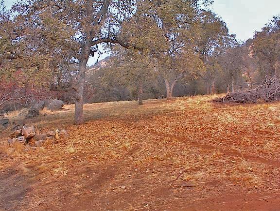 45963 Longview Road Squaw Valley, CA 93675 - Photo 34 of 41 Gallery Image 34