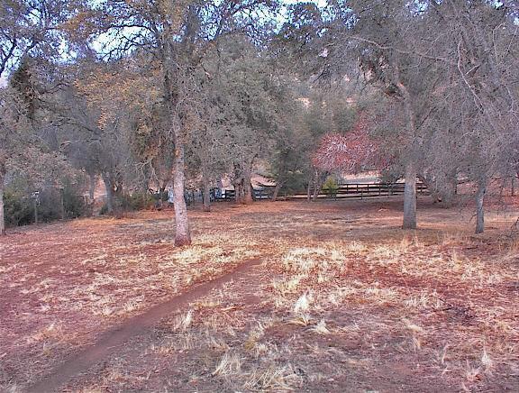 45963 Longview Road Squaw Valley, CA 93675 - Photo 36 of 41 Gallery Image 36