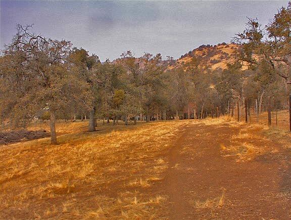 45963 Longview Road Squaw Valley, CA 93675 - Photo 38 of 41 Gallery Image 38