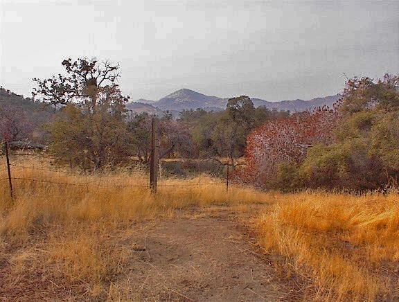 45963 Longview Road Squaw Valley, CA 93675 - Photo 39 of 41 Gallery Image 39