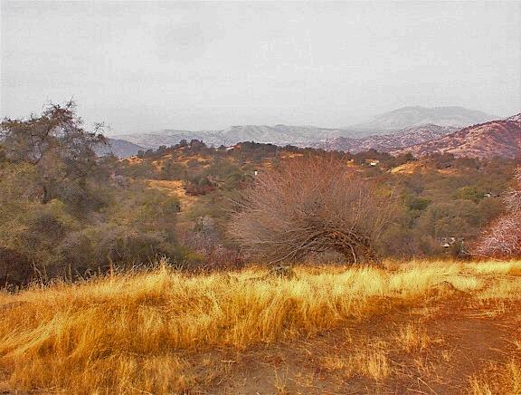 45963 Longview Road Squaw Valley, CA 93675 - Photo 40 of 41 Gallery Image 40