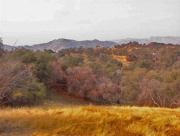 45963 Longview Road Squaw Valley, CA 93675 - Photo 41 of 41 Gallery Image 41