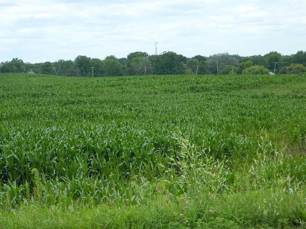 5800 South Coldwater Road Remus, MI 49340 - Photo 1 of 5 1913340.JPG