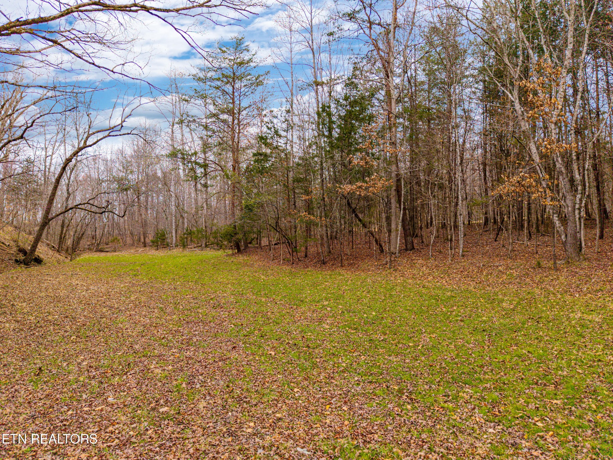 183 Torbetts Road Madisonville, TN 37354 - Photo 40 of 47 Gallery Image 40
