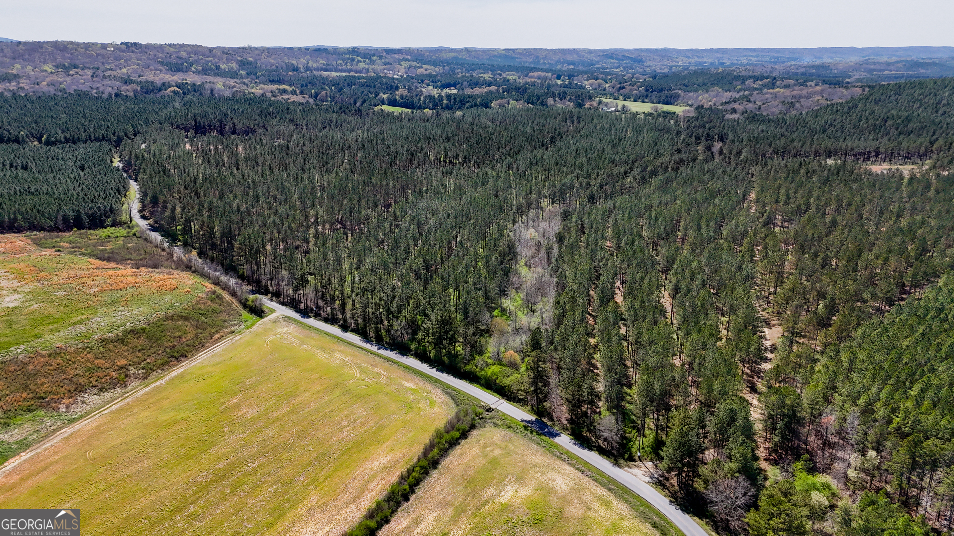 403-acres Youngs Farm Road Cedartown, GA 30125 - Photo 14 of 14