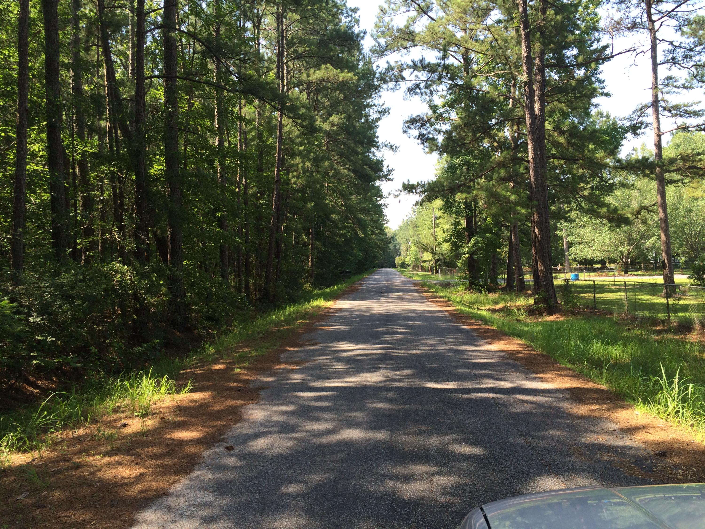 Lot 2 Barons Road Summerville, SC 29483 - Photo 3 of 3 002 (5)