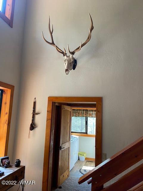 569 Ridge Drive Pinedale, AZ 85934 - Photo 20 of 28