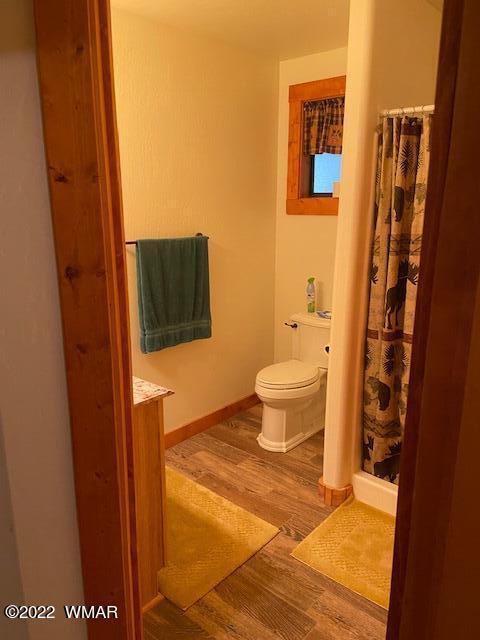 569 Ridge Drive Pinedale, AZ 85934 - Photo 24 of 28