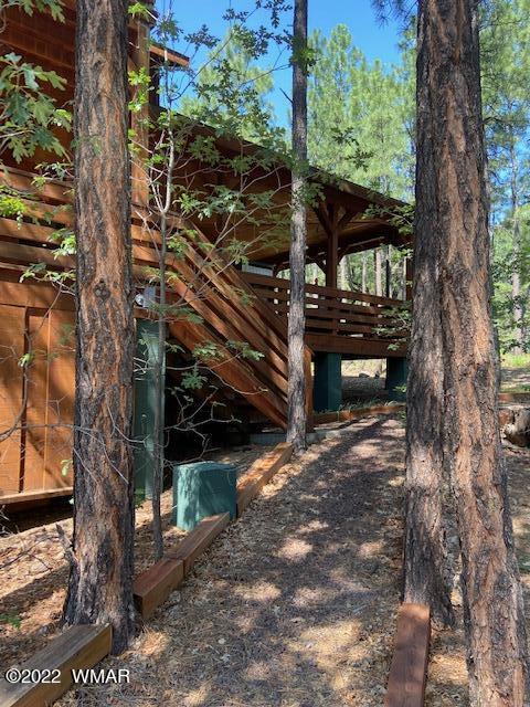 569 Ridge Drive Pinedale, AZ 85934 - Photo 3 of 28