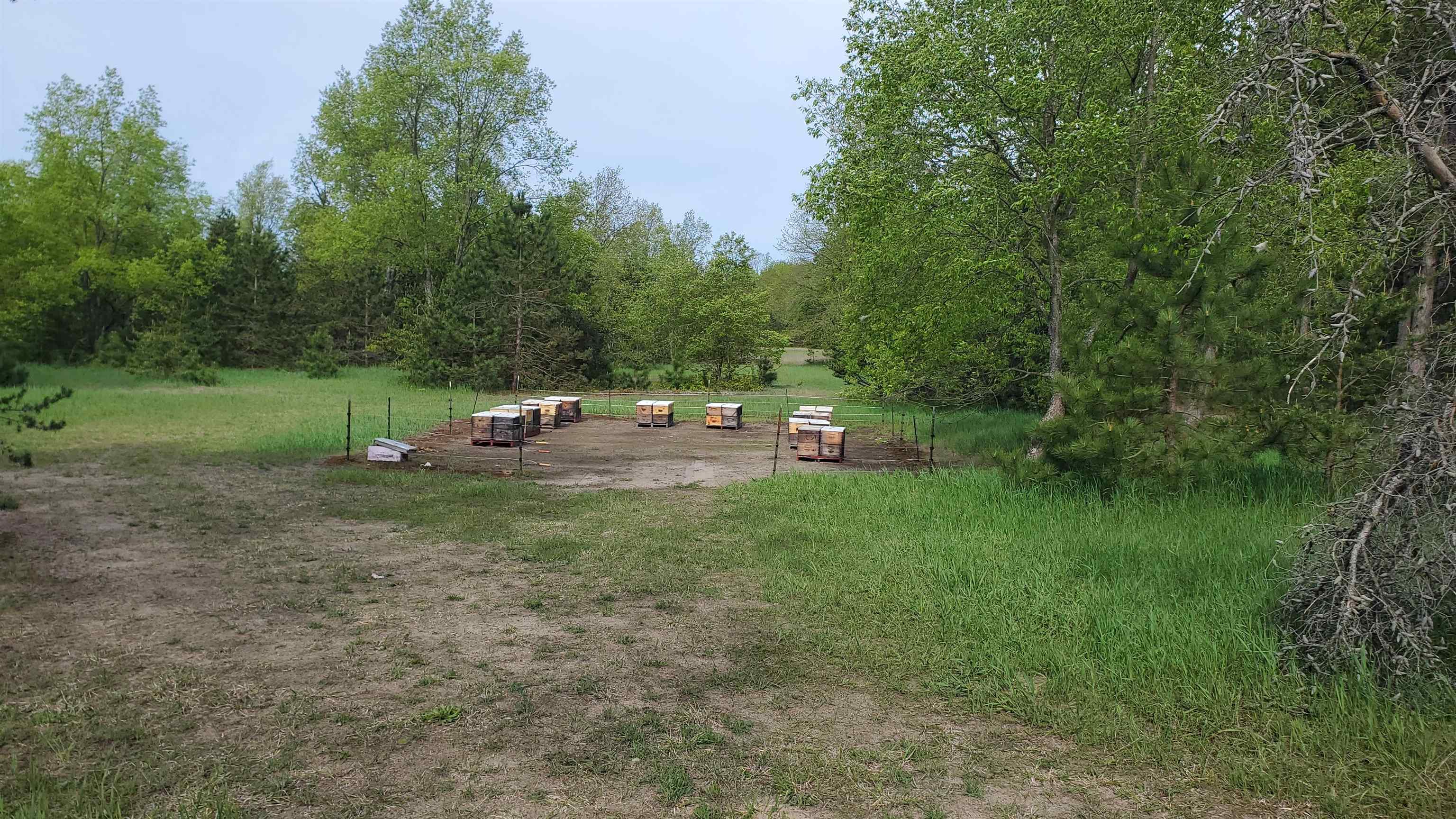 0 South Pioneer Road Beulah, MI 49617 - Photo 5 of 8