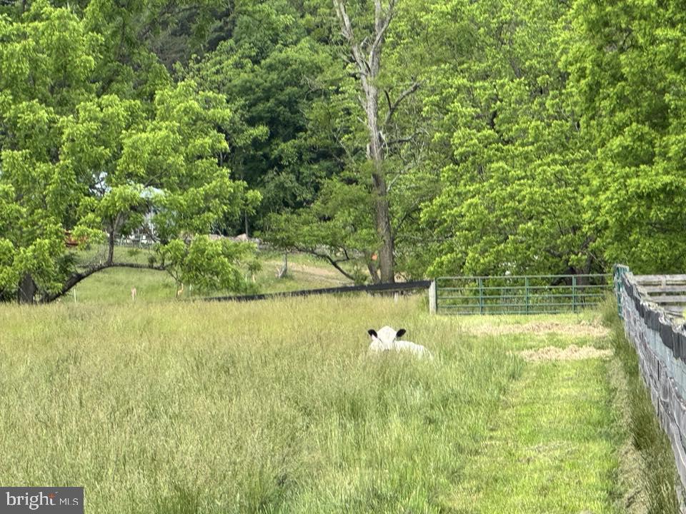 15095 Little Dry River Road Fulks Run, VA 22830 - Photo 127 of 144