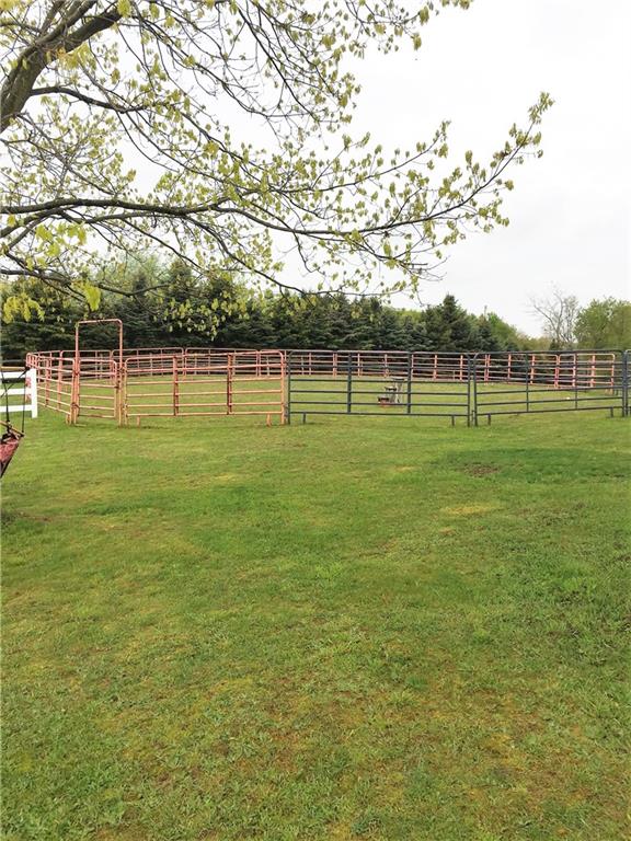 173 Powell Road New Brighton, PA 15066 - Photo 13 of 25 Gallery Image 13