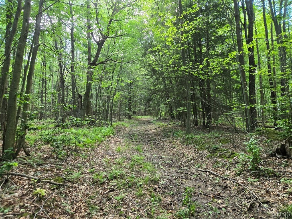 7988 Dowd Road Pike, NY 14735 - Photo 33 of 37