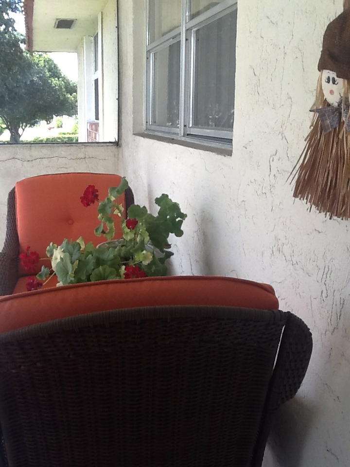 22775 Southwest 66th Avenue, Unit 206 Boca Raton, FL 33428 - Photo 7 of 7 OTHER