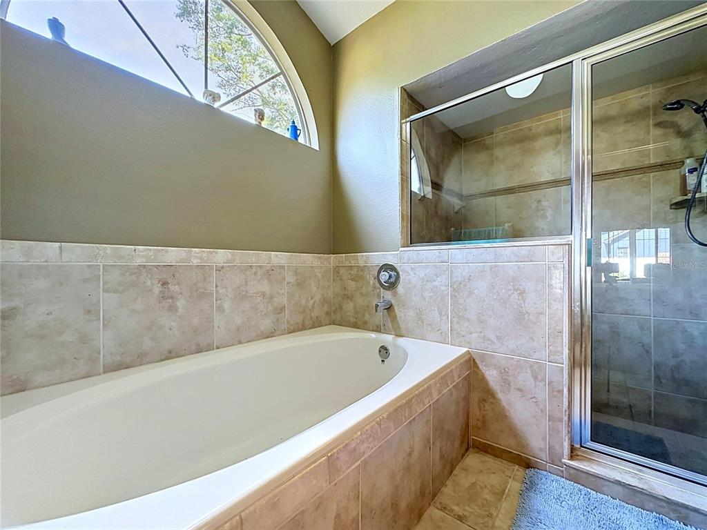 1681 East Spring Ridge Circle Winter Garden, FL 34787 - Photo 34 of 70