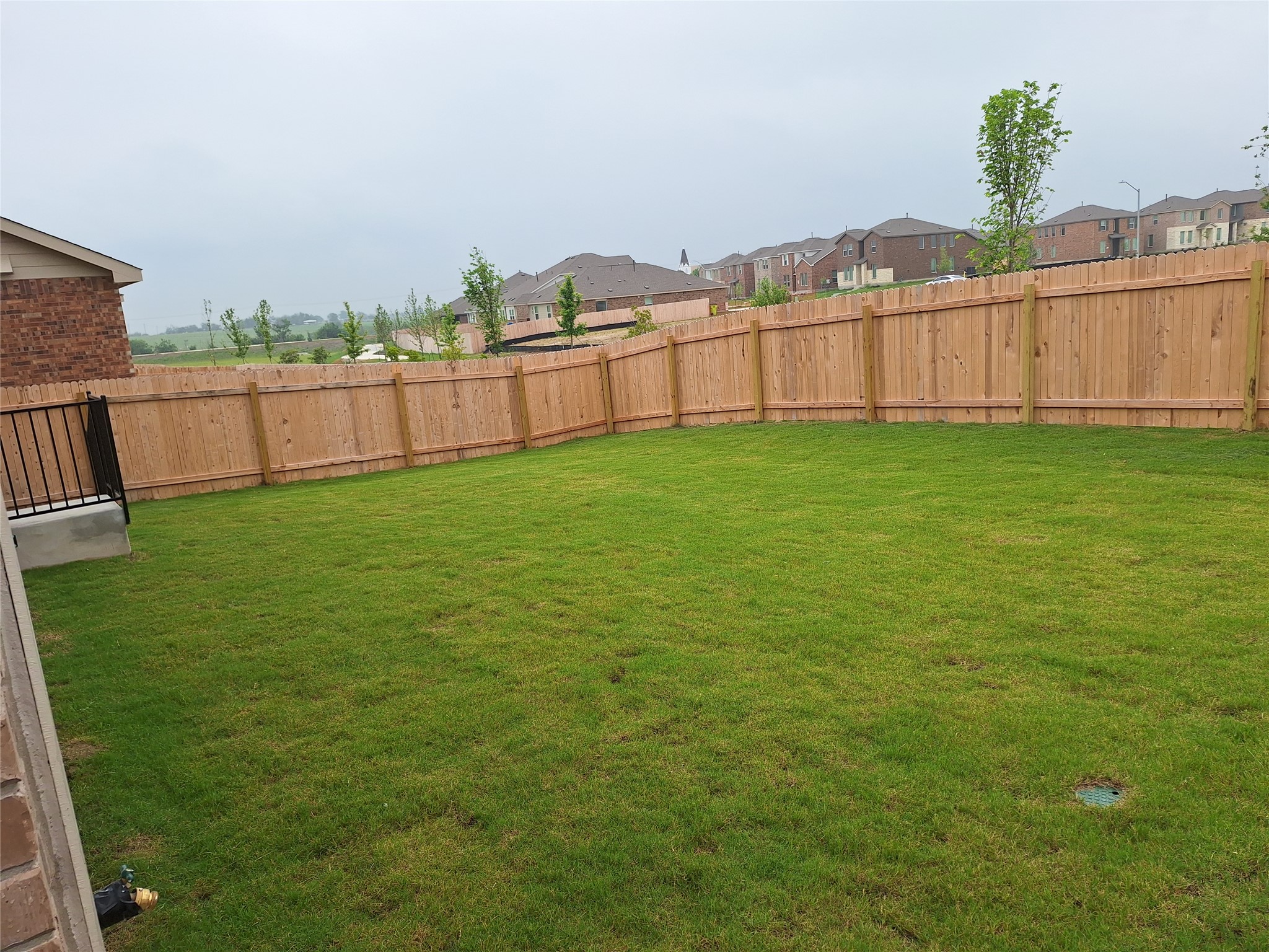 18001 Prairie Falcon Way Pflugerville, TX 78660 - Photo 22 of 38 Spacious grass lawn enclosed by a wood privacy fence
