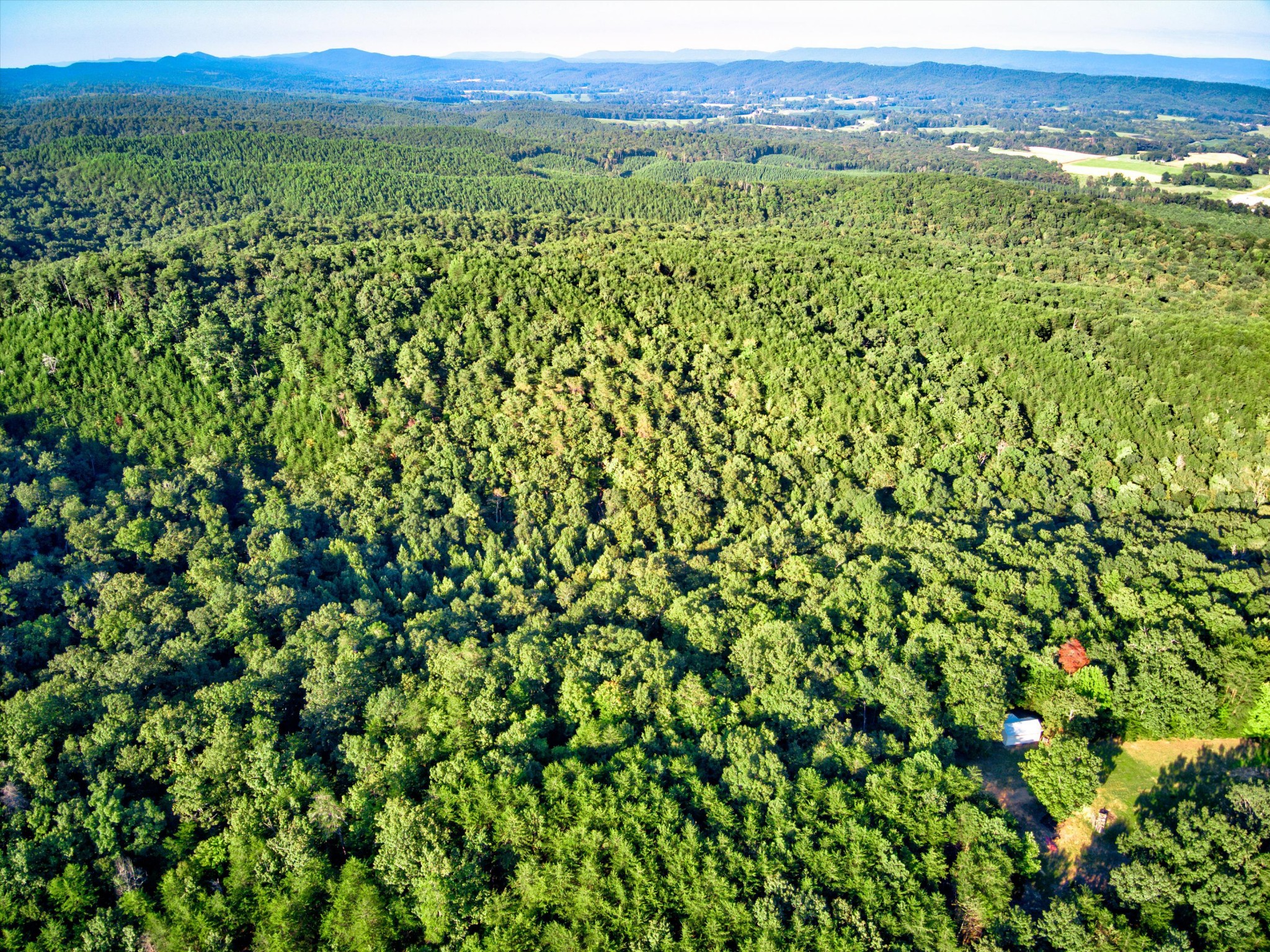 0 Smith Gap Road Summerville, GA 30747 - Photo 11 of 18 Gallery Image 11