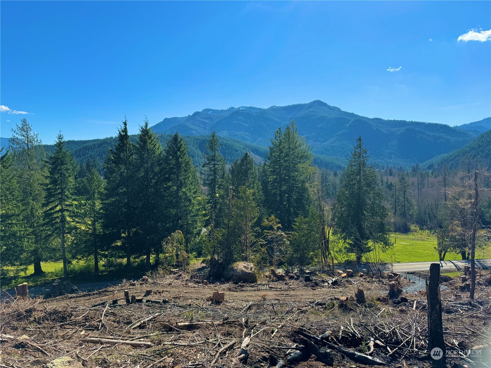 326 Mineral Road North Mineral, WA 98355 - Photo 1 of 38 Gallery Image 1