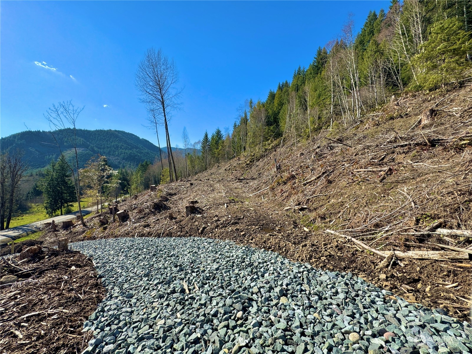 326 Mineral Road North Mineral, WA 98355 - Photo 11 of 38 Gallery Image 11