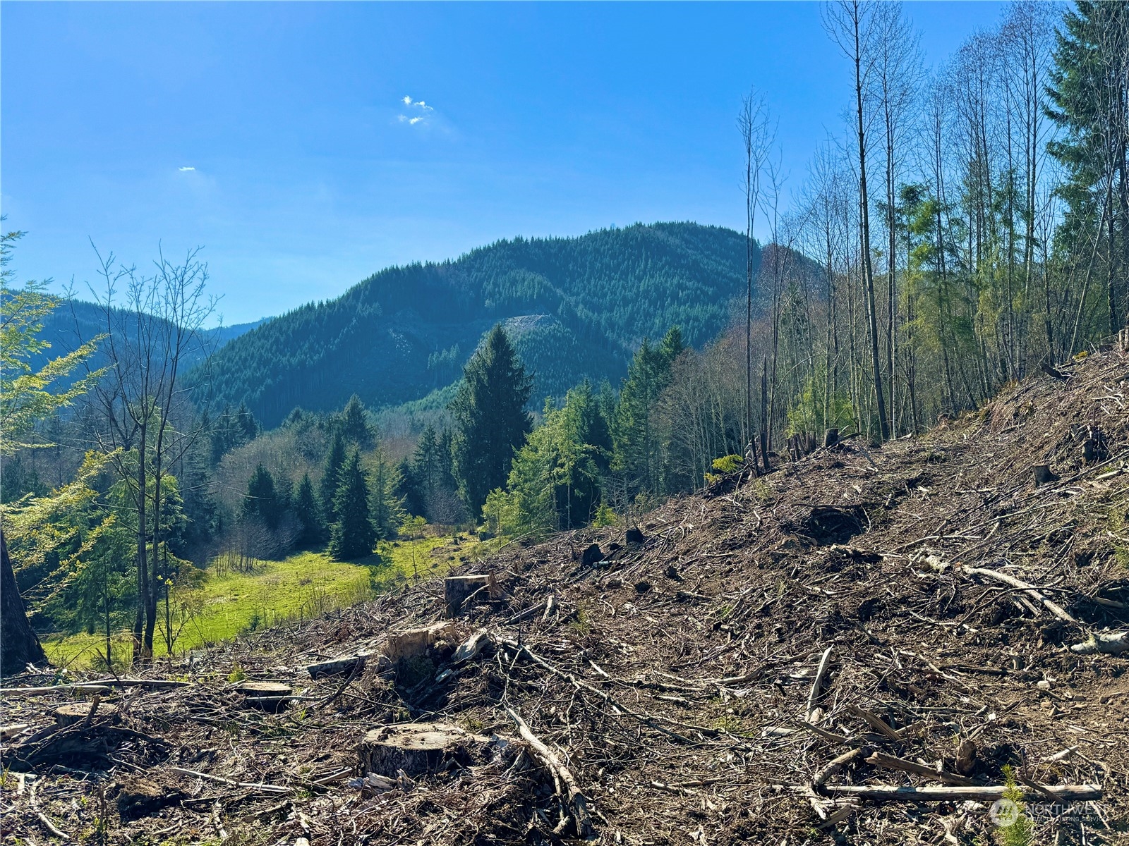 326 Mineral Road North Mineral, WA 98355 - Photo 15 of 38 Gallery Image 15