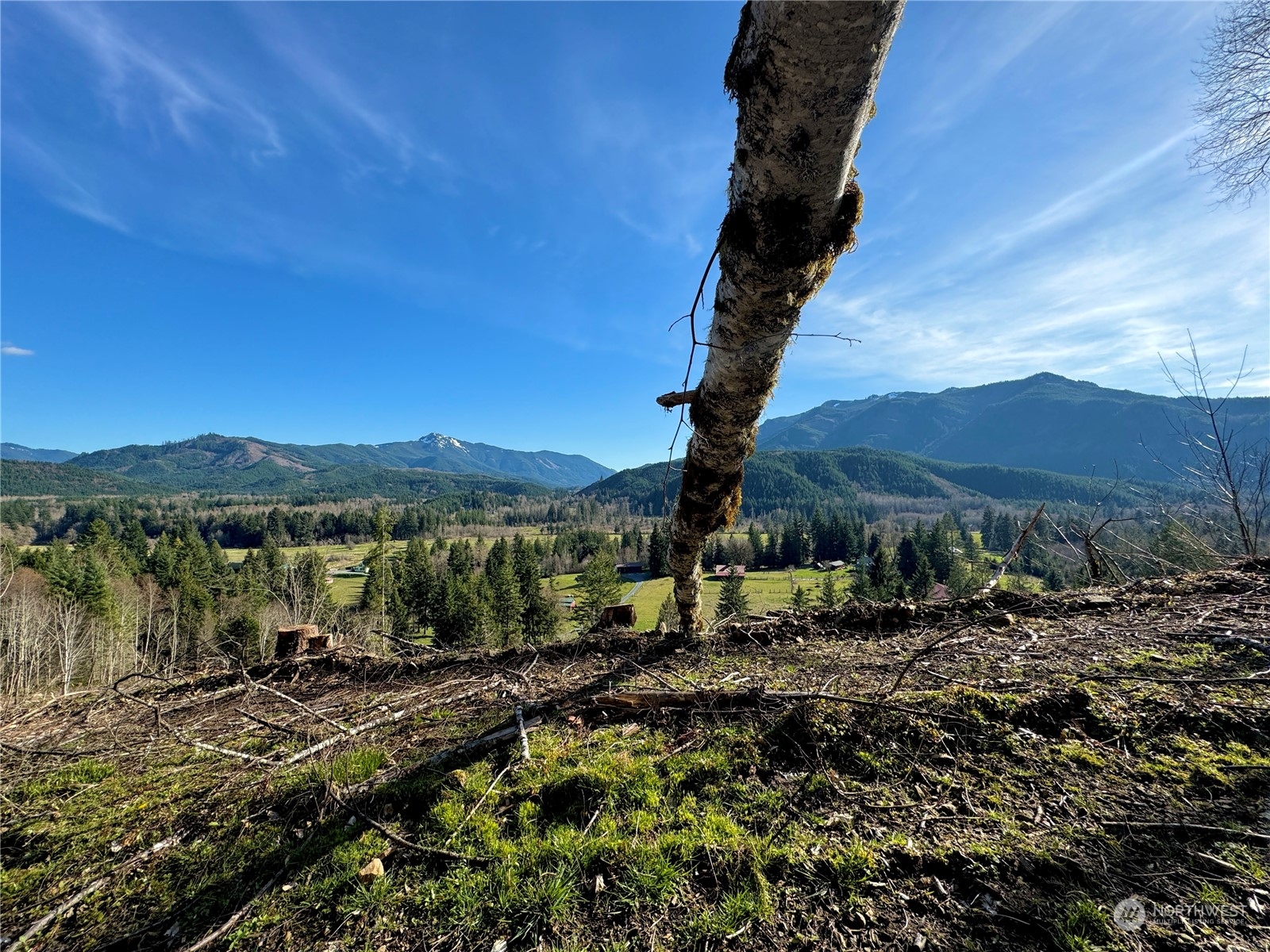 326 Mineral Road North Mineral, WA 98355 - Photo 23 of 38 Gallery Image 23