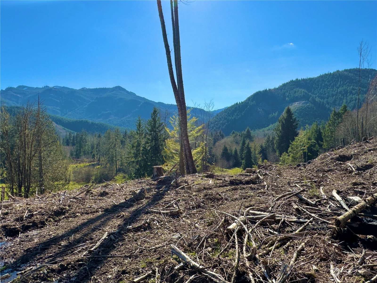 326 Mineral Road North Mineral, WA 98355 - Photo 3 of 38 Gallery Image 3