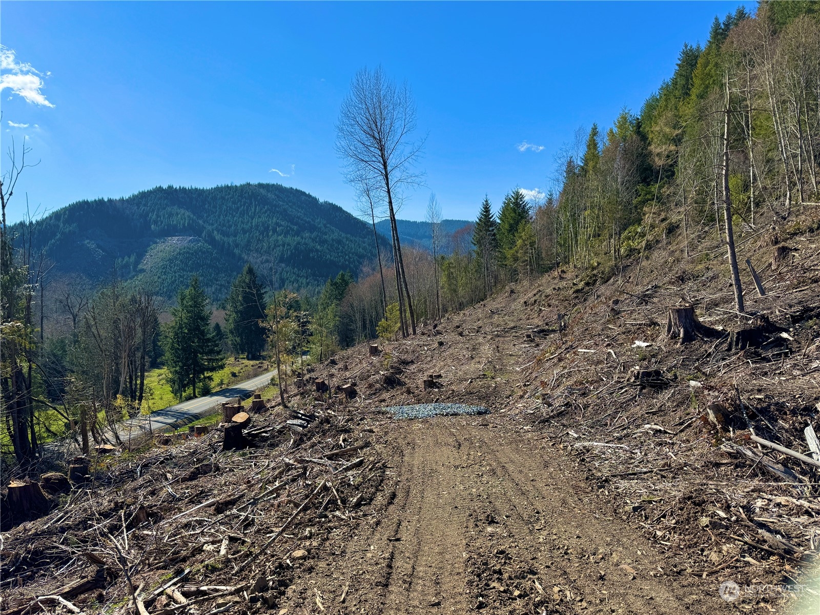 326 Mineral Road North Mineral, WA 98355 - Photo 10 of 38 Gallery Image 10