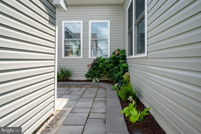 a view of a pathway with a flower