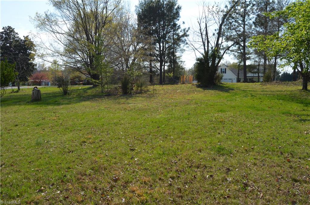 8600 Fulp Road Stokesdale, NC 27357 - Photo 11 of 30 Side yard looking towards Fulp Rd