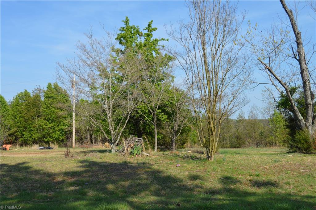 Left side yard